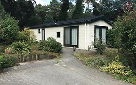 Chalet de Vinck in Diever